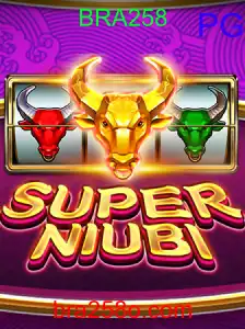 SuperNiubi